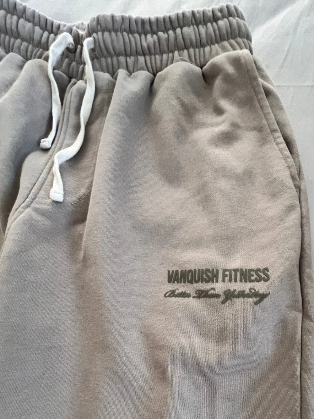 VANQUISH FITNESS fleece gym pants , size L, super cozy , slim fit , - Picture 2 of 7